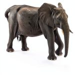South Africa Travel Guide Kindle eBook English Language-0