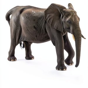 South Africa Travel Guide Kindle eBook English Language-0